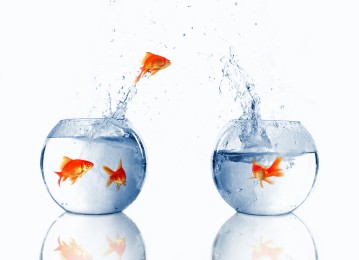 ip_management_software_data_migration