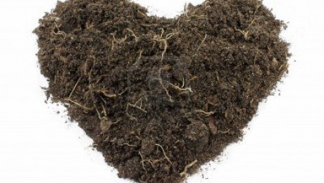 12455463-heart-shape-soil-isolated-on-white-background
