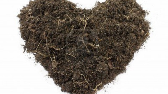 12455463-heart-shape-soil-isolated-on-white-background