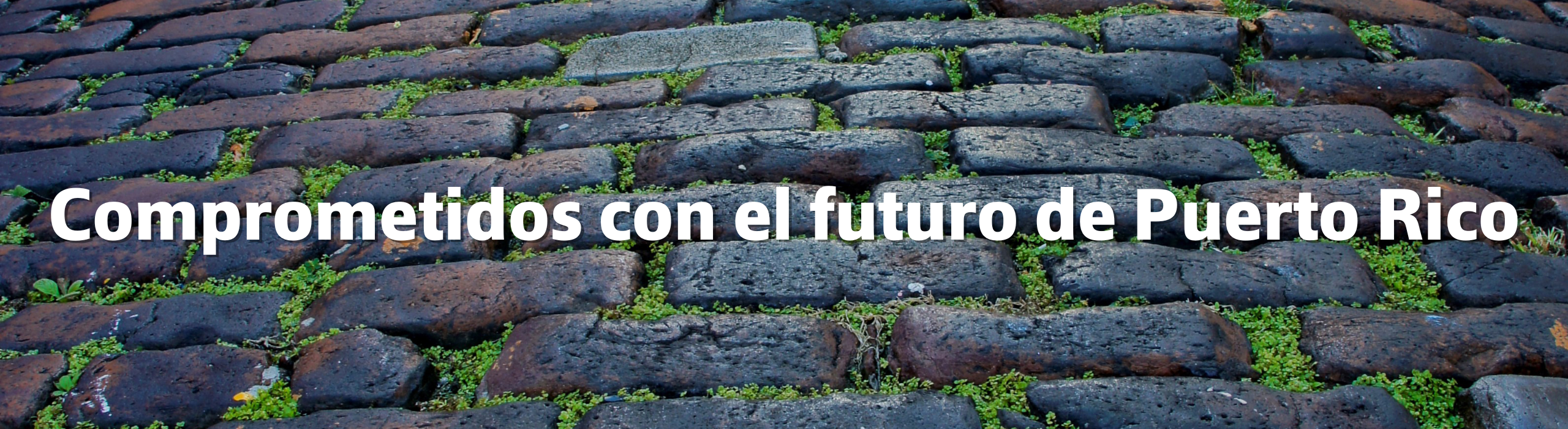 Header internships page-ESP